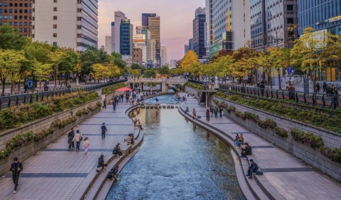 Seoul City Tour for Vegetarians & Muslims