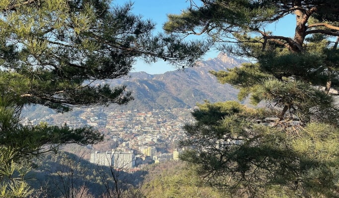 Seoul City Tour for Vegetarians & Muslims