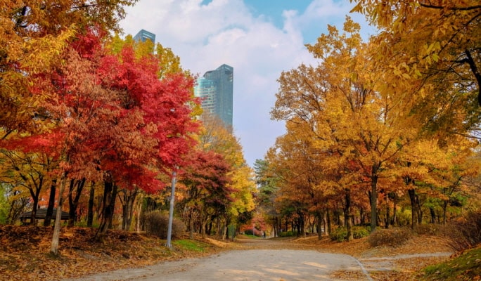ソウルの森＋仁川大公園＋ハヌル公園 秋・紅葉1日ツアー ：ソウル発 (10月21日~11月15日)