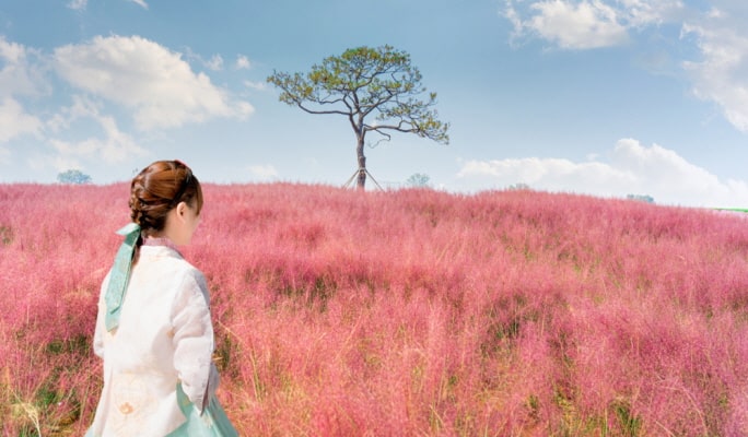ソウルの森＋仁川大公園＋ハヌル公園 秋・紅葉1日ツアー ：ソウル発 (10月21日~11月15日)