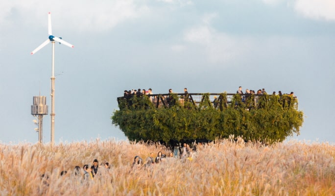 ソウルの森＋仁川大公園＋ハヌル公園 秋・紅葉1日ツアー ：ソウル発 (10月21日~11月15日)