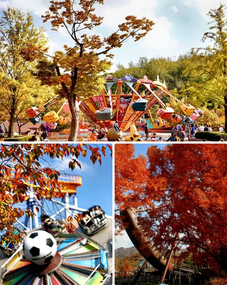 Seoul Land's attractions surrounded by a colorful sea of foliage in autumn.