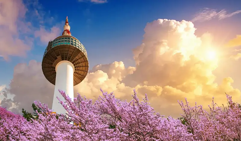 N Seoul Tower Observatory Ticket