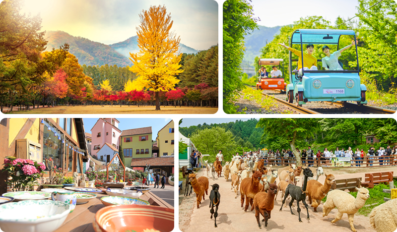 Private Car Charter in Seoul City/Suburbs/Gangwon-do - from Seoul - view 1