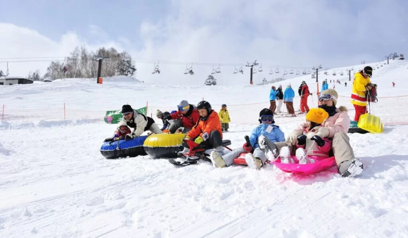 Snow Monkey Park & Shiga Kogen Ski Resort 1 Day Tour - view 1