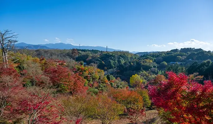 Winter Special: Shuzenji Village and Mt. Fuji View 1 Day Tour from Tokyo (Nov 3~Dec 29)