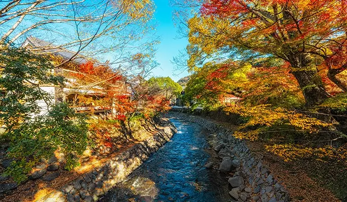 Winter Special: Shuzenji Village and Mt. Fuji View 1 Day Tour from Tokyo (Nov 3~Dec 29)
