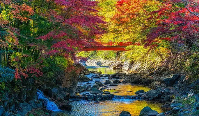 Winter Special: Shuzenji Village and Mt. Fuji View 1 Day Tour from Tokyo (Nov 3~Dec 29)