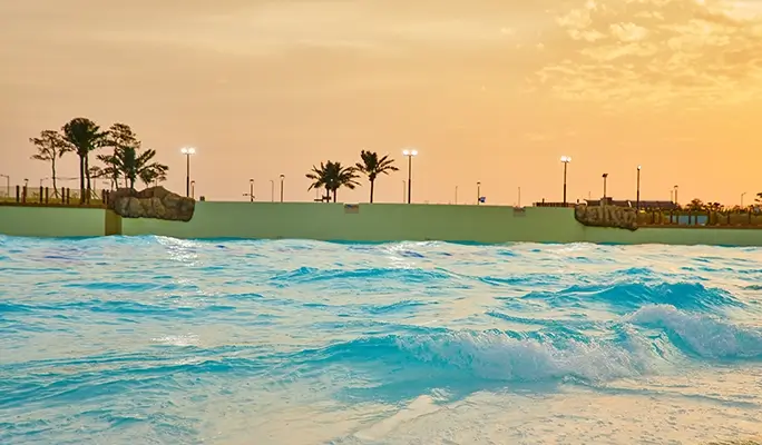 Wave Park Entrance Ticket & Shuttle Bus Package from Seoul