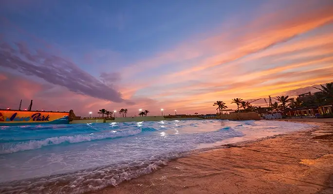 Wave Park Entrance Ticket & Shuttle Bus Package from Seoul