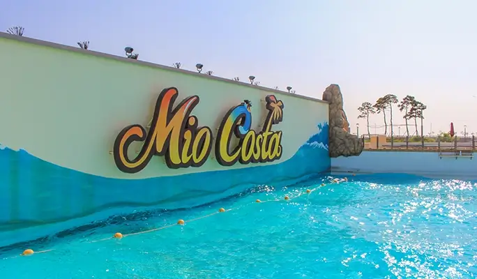Wave Park Entrance Ticket & Shuttle Bus Package from Seoul