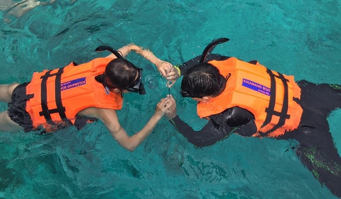 Similan Islands 1 Day Snorkeling Tour by Speedboat (+ Transfer Option) - from Phuket (~mid May)