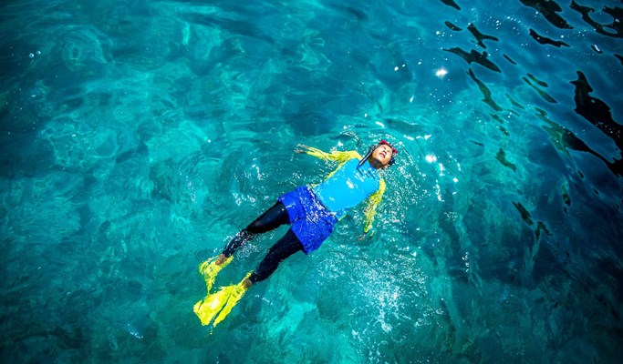 Similan Islands 1 Day Snorkeling Tour by Speedboat (+ Transfer Option) - from Phuket (~mid May)