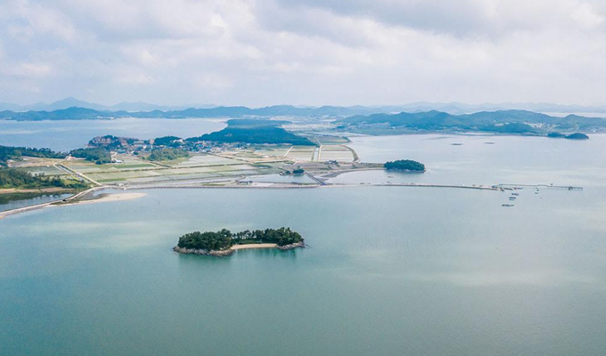 [UNESCO World Heritage] Seoul-Mokpo-Sinan Getbol (Tidal Flat) 5D4N Tour