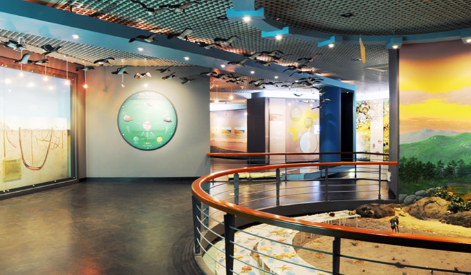 [UNESCO World Heritage] Sinan Getbol (Tidal Flat) Tour from Daegu