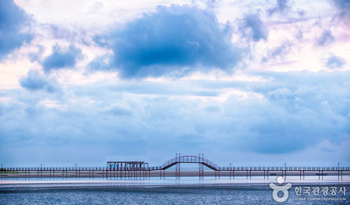[UNESCO World Heritage] Sinan Getbol (Tidal Flat) Tour from Daegu