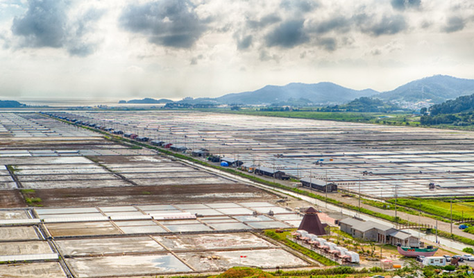 [UNESCO World Heritage] Seoul-Mokpo-Sinan Getbol (Tidal Flat) 5D4N Tour