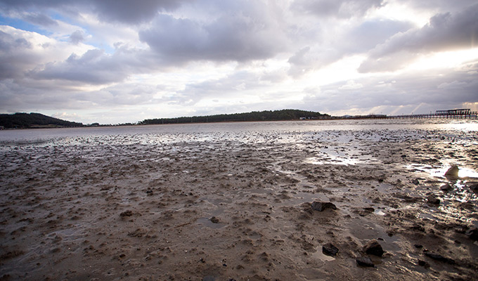 [UNESCO World Heritage] Seoul-Mokpo-Sinan Getbol (Tidal Flat) 5D4N Tour
