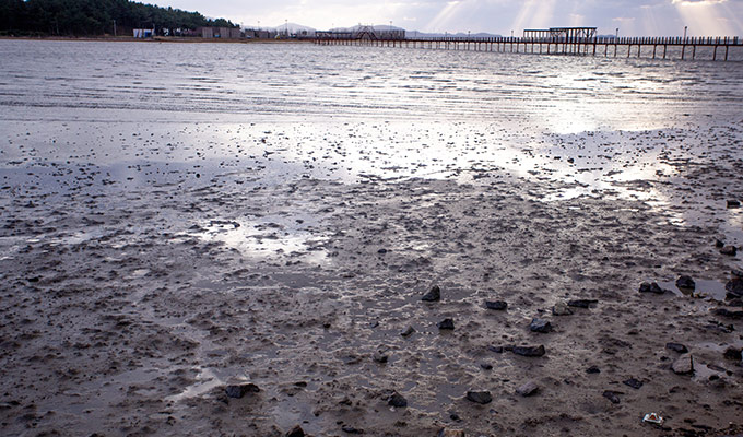 [UNESCO World Heritage] Seoul-Mokpo-Sinan Getbol (Tidal Flat) 5D4N Tour