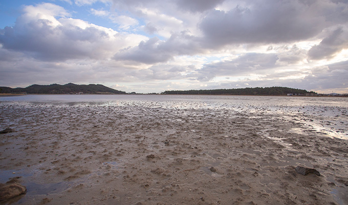 [UNESCO World Heritage] Seoul-Mokpo-Sinan Getbol (Tidal Flat) 5D4N Tour