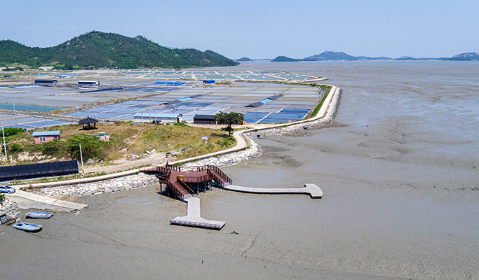 [UNESCO World Heritage] Seoul-Mokpo-Sinan Getbol (Tidal Flat) 5D4N Tour