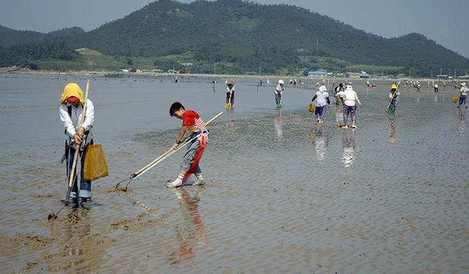 [UNESCO World Heritage] Seoul-Mokpo-Sinan Getbol (Tidal Flat) 5D4N Tour
