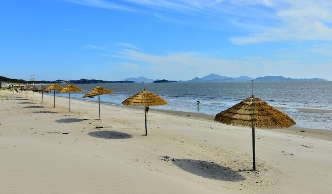 Mokpo & Sinan Getbol 1 Day Tour from Daegu