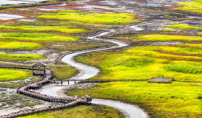 [UNESCO World Heritage] Seoul-Mokpo-Sinan Getbol (Tidal Flat) 5D4N Tour