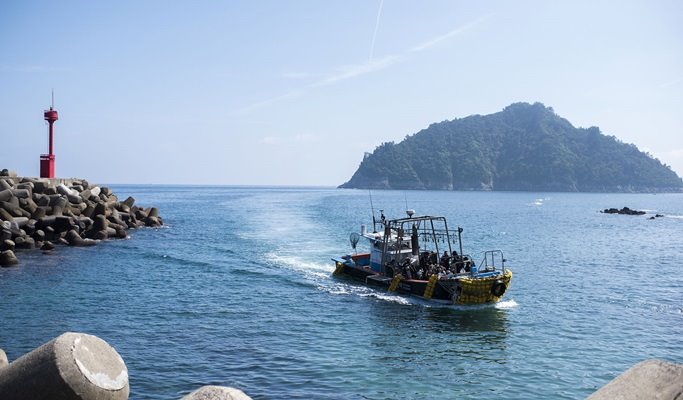 Snorkeling near Seopseom Island in Jeju