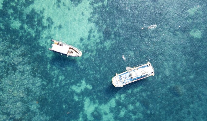 Snorkeling near Seopseom Island in Jeju