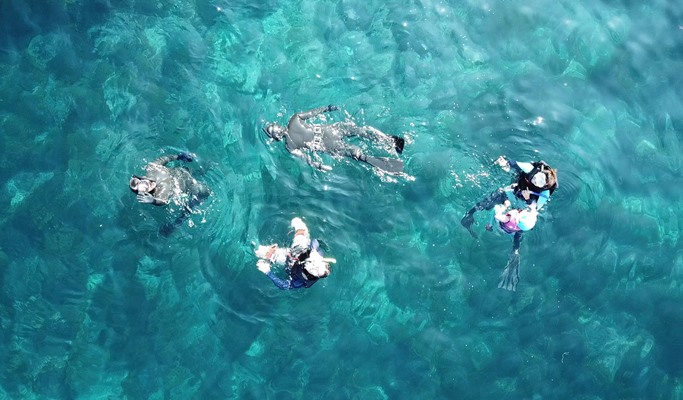 Snorkeling near Seopseom Island in Jeju