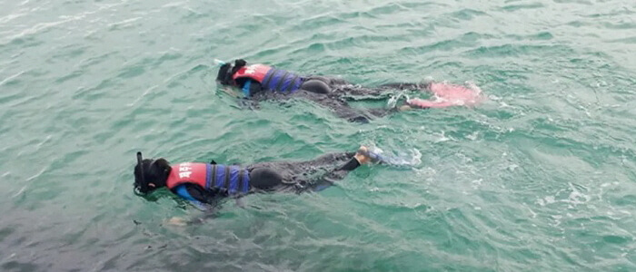 Kayaking/ Snorkeling/ SUP/ Speed Boat Riding in Hado Sea, Jeju - Trazy ...