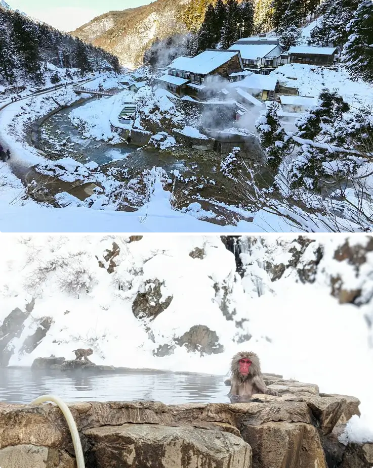 Snow Monkey Park base station with snow-covered scenery and snow monkeys in Nagano