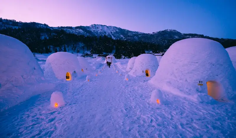 Nagoya Snow Monkey Park (+ Kamakura no Sato) 1 Day Tour - from Tokyo (Dec 13~Mar 31) - view 2