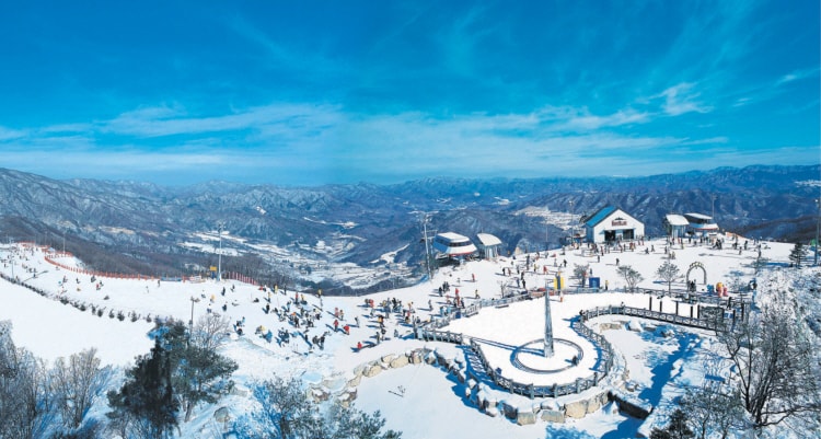 Seoul ↔ Phoenix Park Ski Resort Shuttle Bus