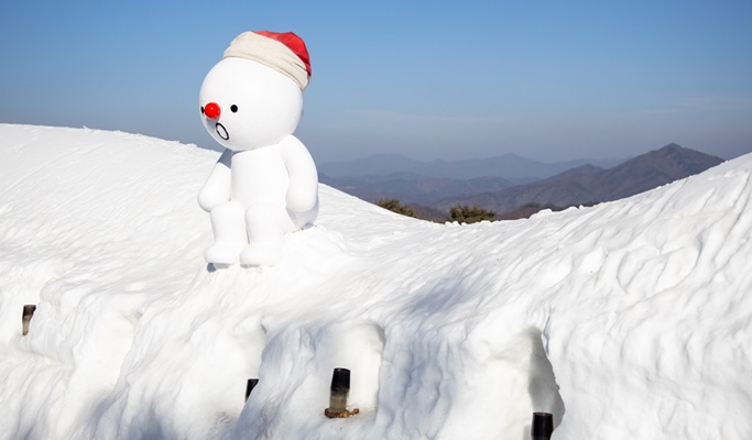 Vivaldi Park Snowy Land Snow Sled + Strawberry Picking + Garden of Morning Calm 1 Day Tour (Dec 20~Mar 4)