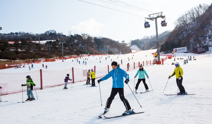 Vivaldi Park Snowy Land Snow Sled 1 Day Tour (+ Afternoon Ski Option)