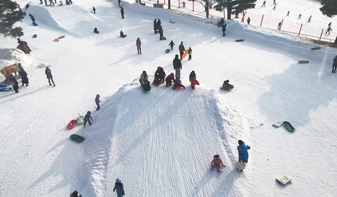 維瓦爾第公園滑雪場：1 日雙板滑雪/單板滑雪/冰雪王國雪橇之旅