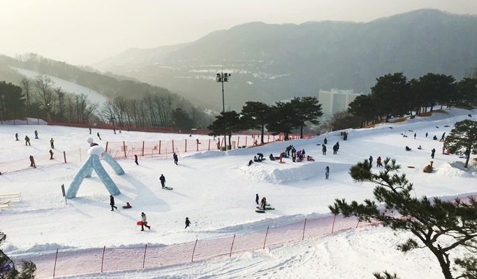 Cheongpyeong Snowflake Ice Festival Trout Ice Fishing + Vivaldi Park Snowyland Snow Sled 1 Day Tour (Jan 28~Feb 14)