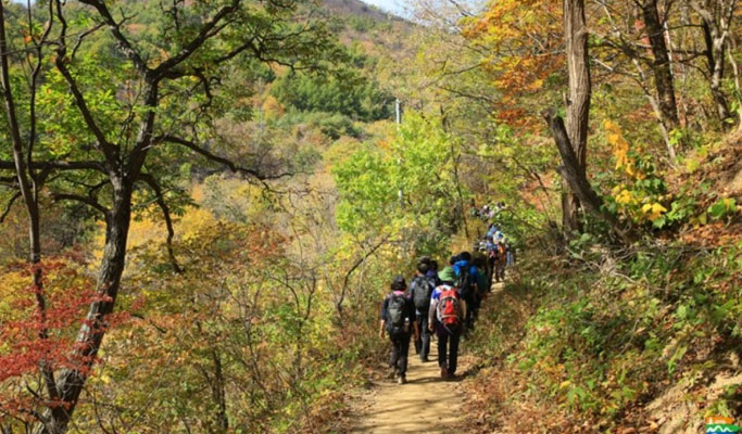 Gyeongbuk Mt. Sobaeksan Hiking Private Tour (Gukmangbong Peak Course)
