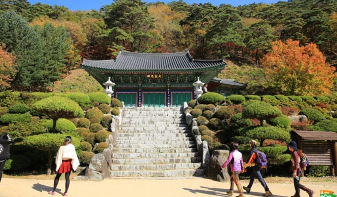 Gyeongbuk Mt. Sobaeksan Hiking Private Tour (Gukmangbong Peak Course)