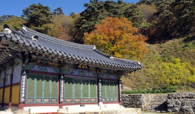 Gyeongbuk Mt. Sobaeksan Hiking Private Tour (Gukmangbong Peak Course)