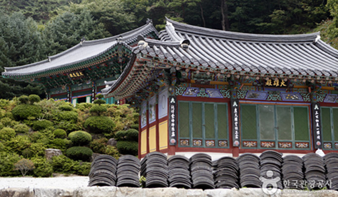 Gyeongbuk Mt. Sobaeksan Hiking Private Tour (Gukmangbong Peak Course)