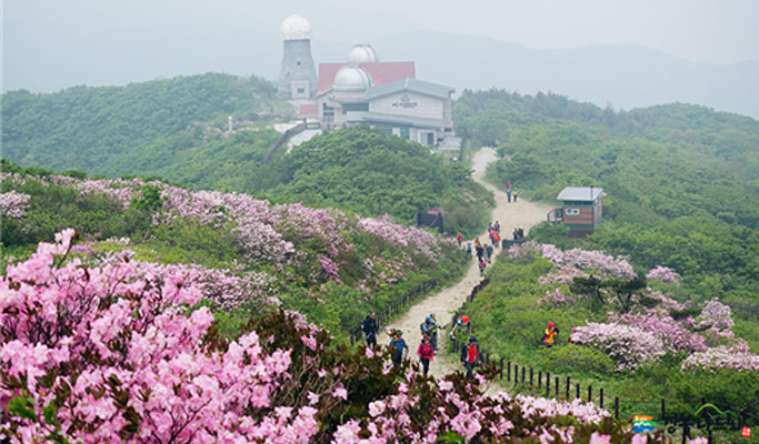Gyeongbuk Mt. Sobaeksan Hiking Private Tour (Yeonghwabong Peak Course)