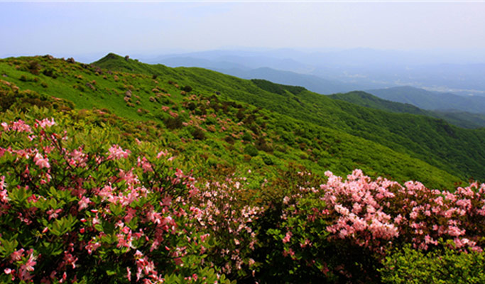 Gyeongbuk Mt. Sobaeksan Hiking Private Tour (Yeonghwabong Peak Course)