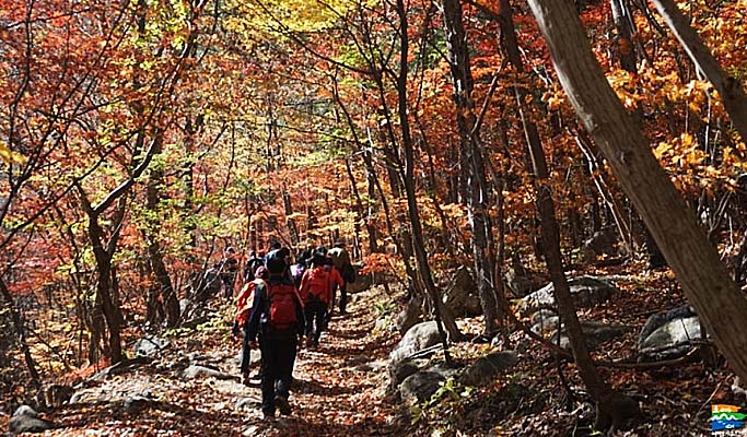 Gyeongbuk Mt. Sobaeksan Hiking Private Tour (Yeonghwabong Peak Course)