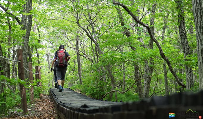 Gyeongbuk Mt. Sobaeksan Hiking Private Tour (Yeonghwabong Peak Course)