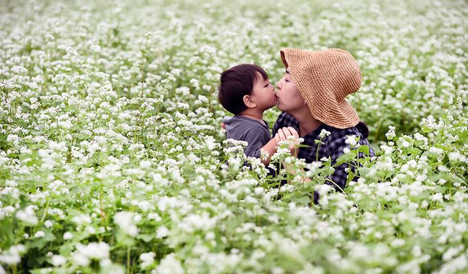 Wonju Sogeumsan Suspension Bridge & Pyeongchang Hyoseok Culture Festival Buckwheat Flower Fields 1 Day Tour - from Seoul (Sep 7~15)