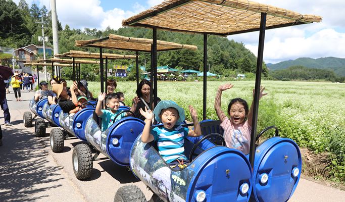 Wonju Sogeumsan Suspension Bridge & Pyeongchang Hyoseok Culture Festival Buckwheat Flower Fields 1 Day Tour - from Seoul (Sep 7~15)