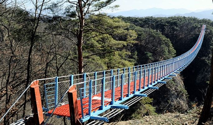 Wonju Sogeumsan Suspension Bridge & Pyeongchang Hyoseok Culture Festival Buckwheat Flower Fields 1 Day Tour - from Seoul (Sep 7~15)